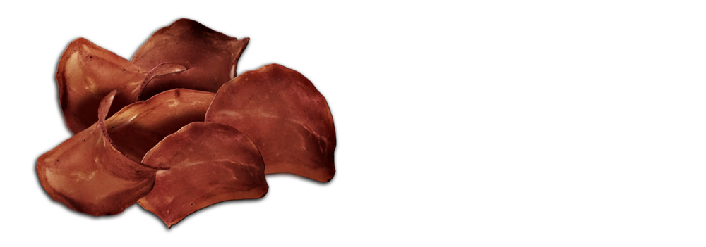 appetizer beef chips neu