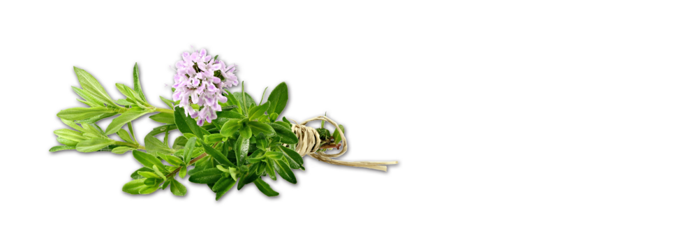 Thymian Milde Tyrolini Handl Tyrol