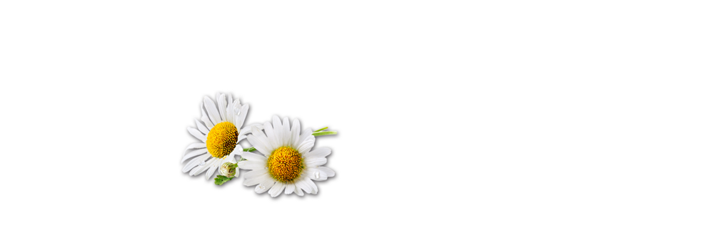 Margeriten Bergluftstangerl Mild Handl Tyrol