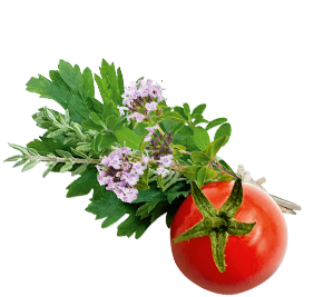 2222101 HAN Veggie Kräuter Tomate Appetizer oben ohne Schatten