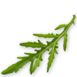 20 ruccola Handl Tyrol